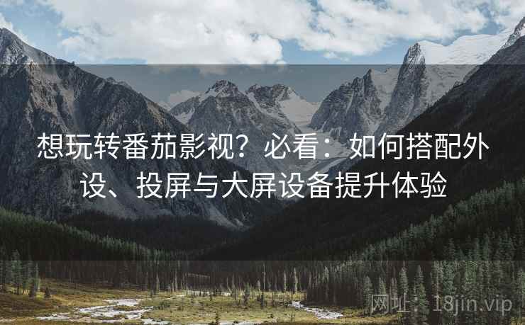 想玩转番茄影视？必看：如何搭配外设、投屏与大屏设备提升体验