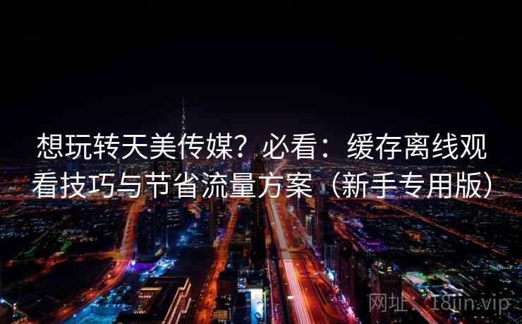 想玩转天美传媒？必看：缓存离线观看技巧与节省流量方案（新手专用版）