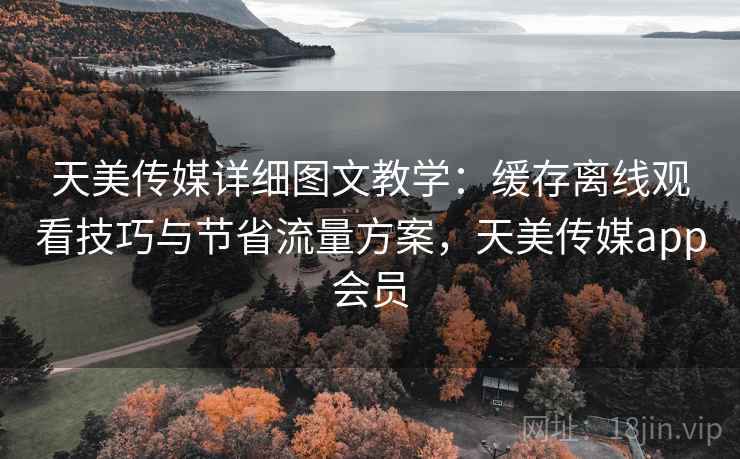 天美传媒详细图文教学：缓存离线观看技巧与节省流量方案，天美传媒app会员