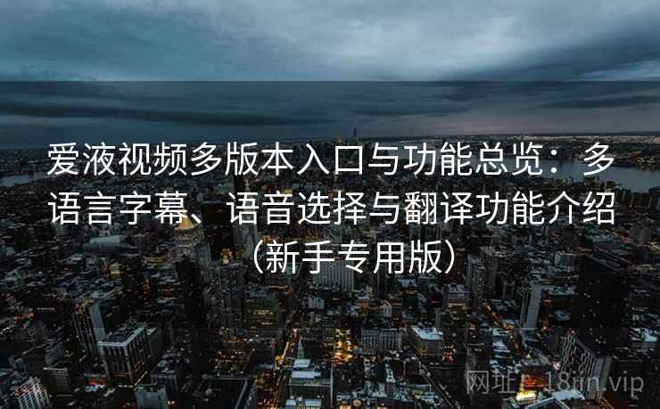 爱液视频多版本入口与功能总览：多语言字幕、语音选择与翻译功能介绍（新手专用版）
