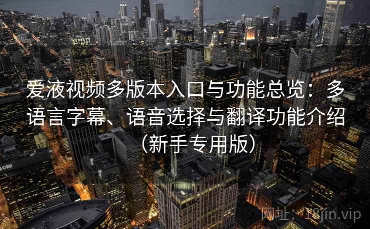 爱液视频多版本入口与功能总览：多语言字幕、语音选择与翻译功能介绍（新手专用版）
