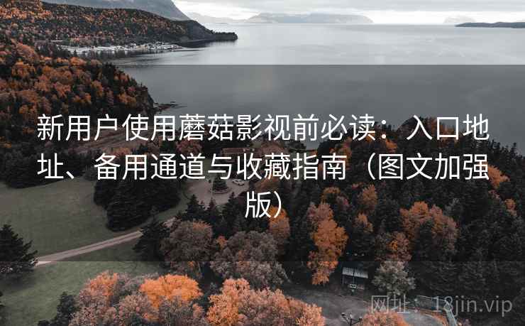 新用户使用蘑菇影视前必读：入口地址、备用通道与收藏指南（图文加强版）