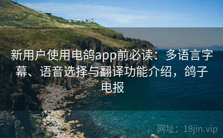 新用户使用电鸽app前必读:多语言字幕、语音选择与翻译功能介绍,鸽子电报 新用户使用电鸽app前必读:多语言字幕、语音选择与翻译功能介绍,鸽子电报