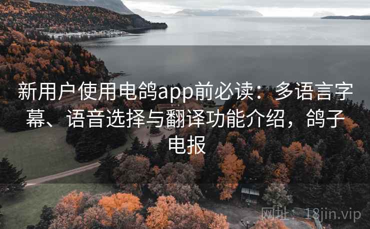 新用户使用电鸽app前必读:多语言字幕、语音选择与翻译功能介绍,鸽子电报 新用户使用电鸽app前必读:多语言字幕、语音选择与翻译功能介绍,鸽子电报