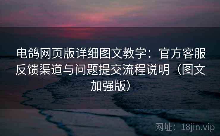 电鸽网页版详细图文教学:官方客服反馈渠道与问题提交流程说明(图文加强版) 电鸽网页版详细图文教学:官方客服反馈渠道与问题提交流程说明(图文加强版)