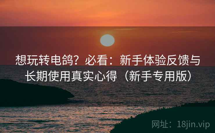 想玩转电鸽?必看:新手体验反馈与长期使用真实心得(新手专用版) 想玩转电鸽?必看:新手体验反馈与长期使用真实心得(新手专用版)