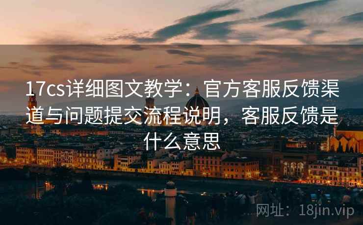 17cs详细图文教学：官方客服反馈渠道与问题提交流程说明，客服反馈是什么意思