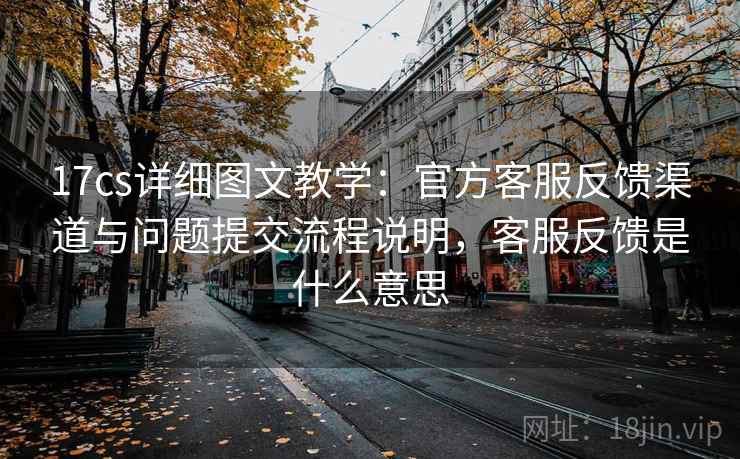 17cs详细图文教学：官方客服反馈渠道与问题提交流程说明，客服反馈是什么意思