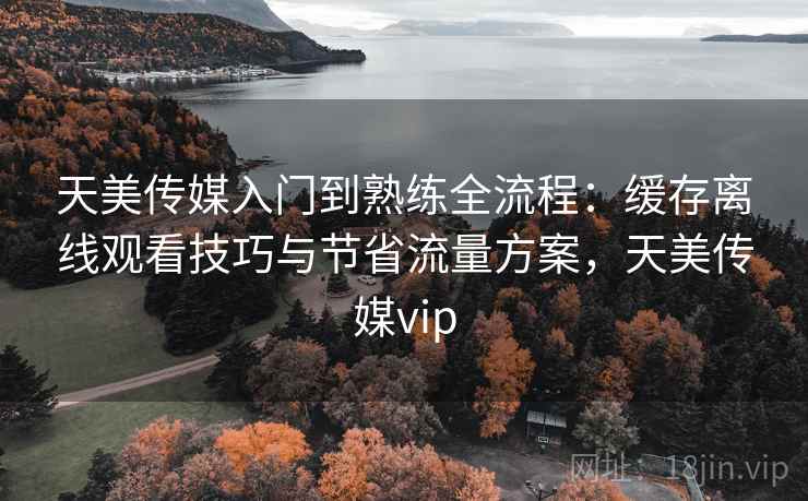 天美传媒入门到熟练全流程:缓存离线观看技巧与节省流量方案,天美传媒vip 天美传媒入门到熟练全流程:缓存离线观看技巧与节省流量方案,天美传媒vip