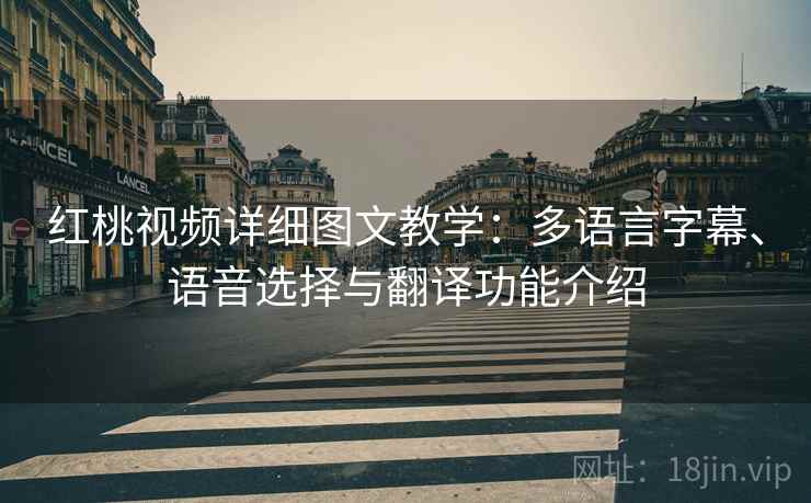 红桃视频详细图文教学:多语言字幕、语音选择与翻译功能介绍 红桃视频详细图文教学:多语言字幕、语音选择与翻译功能介绍