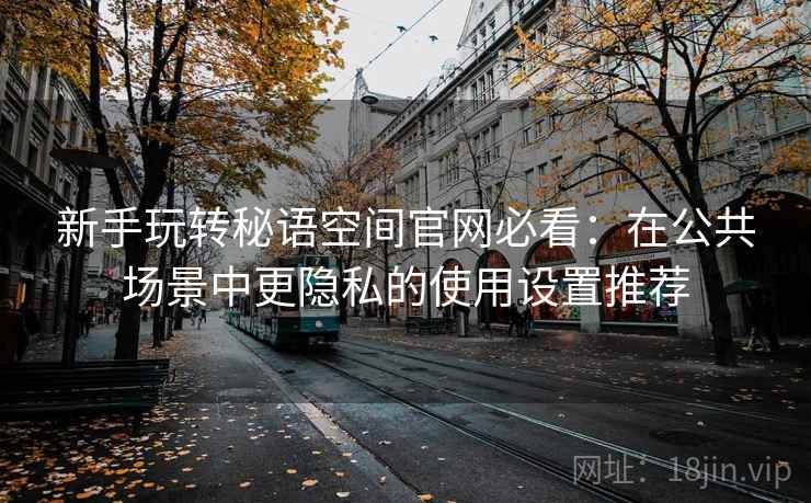 新手玩转秘语空间官网必看:在公共场景中更隐私的使用设置推荐 新手玩转秘语空间官网必看:在公共场景中更隐私的使用设置推荐