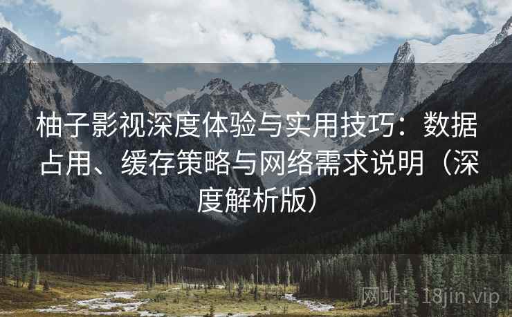 柚子影视深度体验与实用技巧:数据占用、缓存策略与网络需求说明(深度解析版) 柚子影视深度体验与实用技巧:数据占用、缓存策略与网络需求说明(深度解析版)