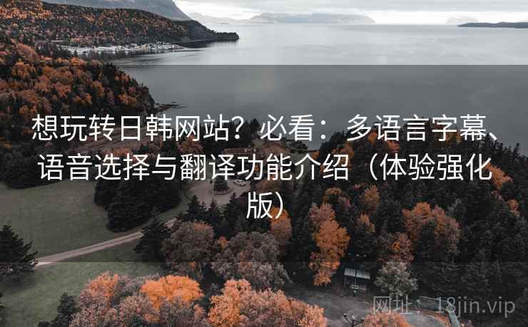 想玩转日韩网站?必看:多语言字幕、语音选择与翻译功能介绍(体验强化版) 想玩转日韩网站?必看:多语言字幕、语音选择与翻译功能介绍(体验强化版)